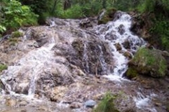 bighillsprings2