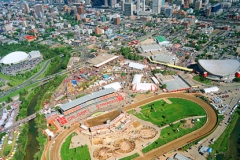 calgary-stampede1