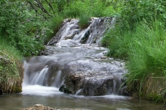 rsz_big_hill_springs1
