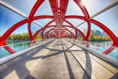 shutterstock_554866591-1